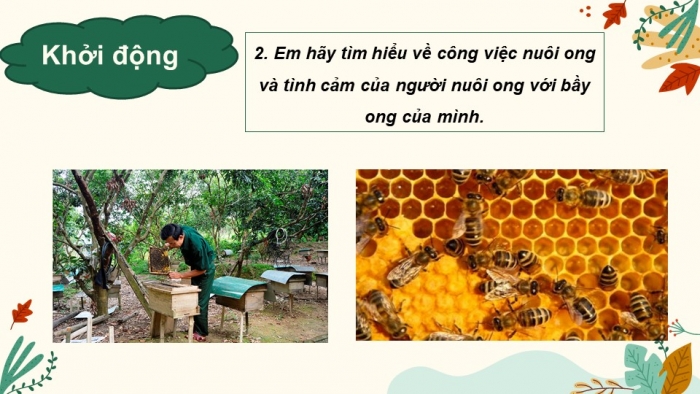 Giáo án PPT Ngữ văn 6 chân trời Bài 5: Thương nhớ bầy ong