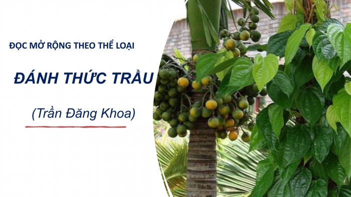 Giáo án PPT Ngữ văn 6 chân trời Bài 5: Đánh thức trầu