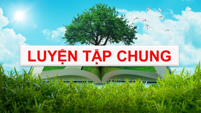 Giáo án PPT Toán 6 kết nối Chương 2 Luyện tập chung (1)