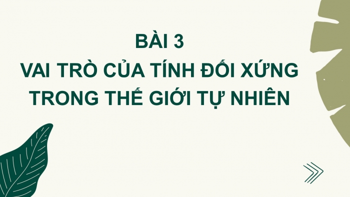 Giáo án PPT Toán 6 chân trời Bài 3: Vai trò của tính đối xứng trong thế giới tự nhiên