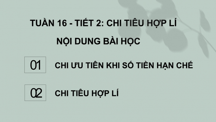 Giáo án PPT HĐTN 6 kết nối Tuần 16: Chi tiêu hợp lí