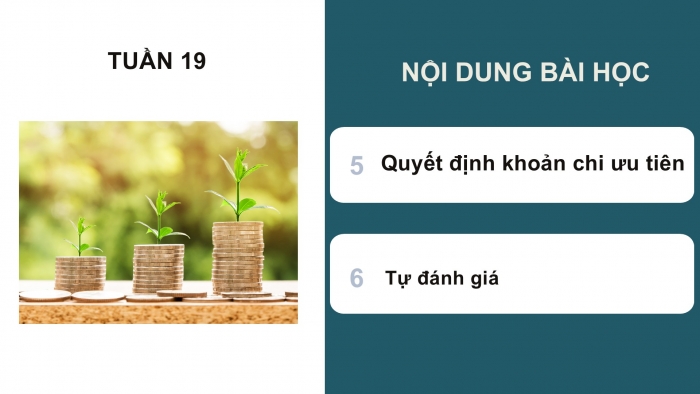 Giáo án PPT HĐTN 6 chân trời Chủ đề 5 Tuần 19