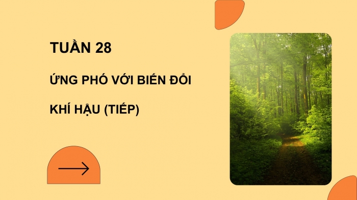 Giáo án PPT HĐTN 6 kết nối Tuần 28: Ứng phó với biến đổi khí hậu (tiếp)