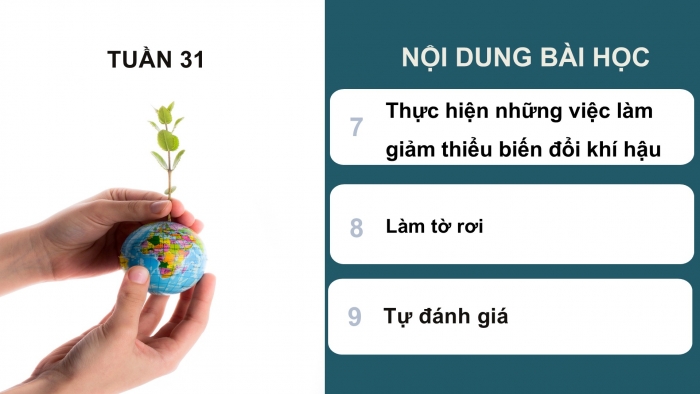 Giáo án PPT HĐTN 6 chân trời Chủ đề 8 Tuần 31