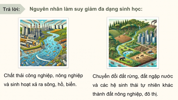 Giáo án điện tử Hoạt động trải nghiệm 12 cánh diều Chủ đề 6: Bảo vệ cảnh quan thiên nhiên và sự đa dạng sinh học (P1)