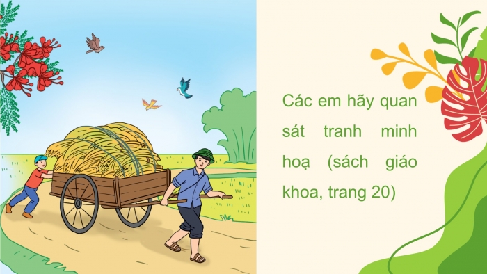 Giáo án điện tử Tiếng Việt 5 cánh diều Bài 13: Hè vui