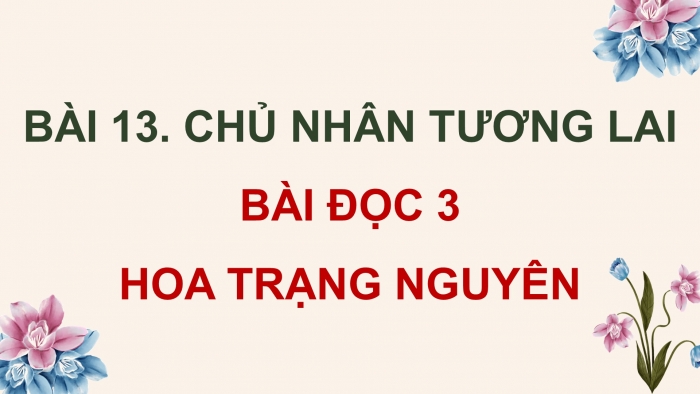 Giáo án điện tử Tiếng Việt 5 cánh diều Bài 13: Hoa trạng nguyên