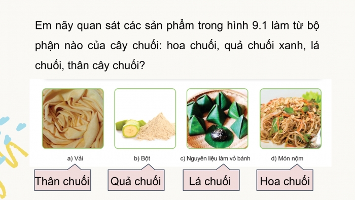 Giáo án điện tử Công nghệ 9 Trồng cây ăn quả Cánh diều Bài 9: Kĩ thuật trồng và chăm sóc cây chuối