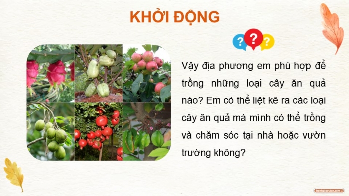 Giáo án điện tử Công nghệ 9 Trồng cây ăn quả Cánh diều Bài 10: Thực hành trồng và chăm sóc cây ăn quả