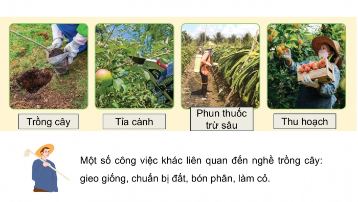 Giáo án điện tử Công nghệ 9 Trồng cây ăn quả Cánh diều Bài 12: Một số ngành nghề liên quan đến trồng cây ăn quả