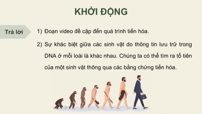 Giáo án điện tử Sinh học 12 cánh diều Bài 15: Bằng chứng tiến hóa