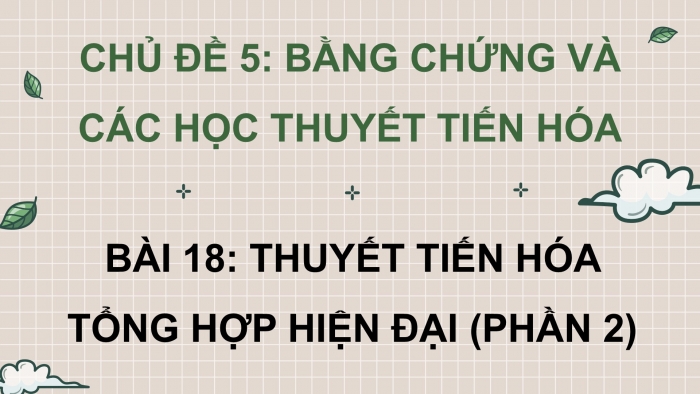 Giáo án điện tử Sinh học 12 cánh diều Bài 18: Thuyết tiến hoá tổng hợp hiện đại (Phần 2)