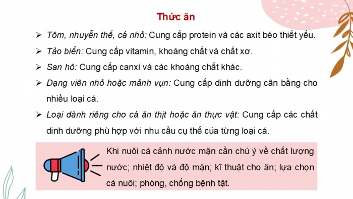 Giáo án điện tử chuyên đề Công nghệ 12 Lâm nghiệp Thuỷ sản Kết nối Bài 12: Nuôi dưỡng và chăm sóc cá cảnh nước mặn