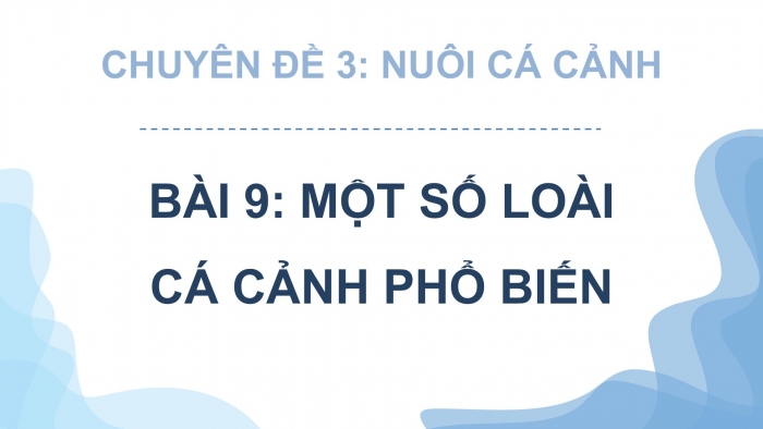 Giáo án điện tử chuyên đề Công nghệ 12 Lâm nghiệp Thuỷ sản Cánh diều Bài 9: Một số loài cá cảnh phổ biến