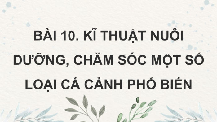 Giáo án điện tử chuyên đề Công nghệ 12 Lâm nghiệp Thuỷ sản Cánh diều Bài 10: Kĩ thuật nuôi dưỡng, chăm sóc một số loại cá cảnh phổ biến