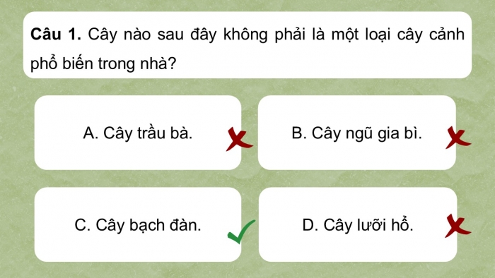 Giáo án điện tử Ngữ văn 9 kết nối Bài 9: Văn hóa hoa – cây cảnh (Trần Quốc Vượng)