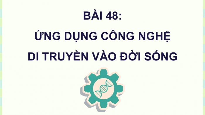 Giáo án điện tử KHTN 9 kết nối - Phân môn Sinh học Bài 48: Ứng dụng công nghệ di truyền vào đời sống