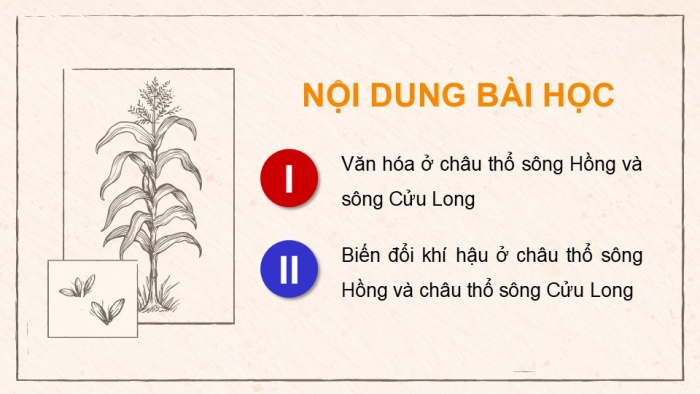 Giáo án điện tử Địa lí 9 kết nối Chủ đề chung 2: Văn minh châu thổ sông Hồng và sông Cửu Long (2) (P2)