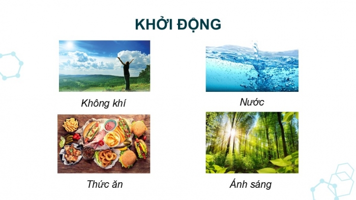 Giáo án điện tử Khoa học 5 kết nối Bài 28: Chức năng của môi trường đối với sinh vật