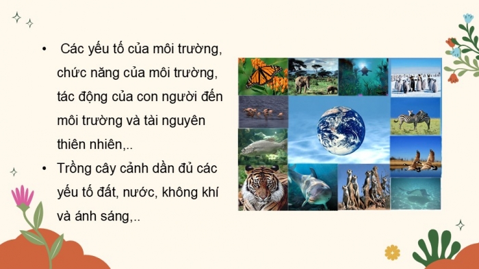 Giáo án điện tử Khoa học 5 kết nối Bài 30: Ôn tập chủ đề Sinh vật và môi trường