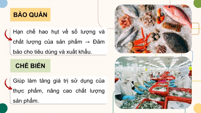 Giáo án điện tử Công nghệ 12 Lâm nghiệp - Thủy sản Kết nối Bài 22: Bảo quản và chế biến sản phẩm thủy sản