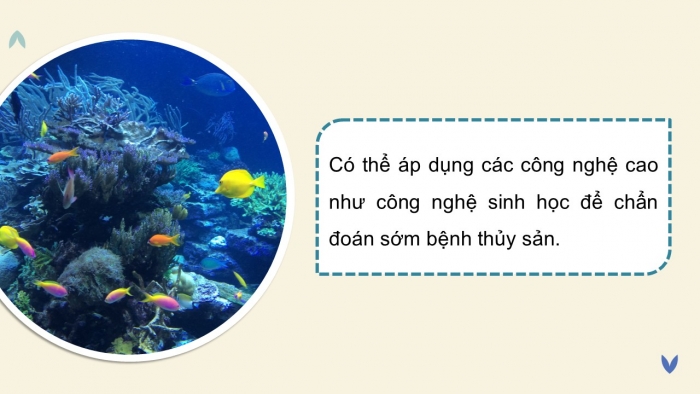 Giáo án điện tử Công nghệ 12 Lâm nghiệp - Thủy sản Kết nối Bài 25: Ứng dụng công nghệ sinh học trong phòng, trị bệnh thủy sản