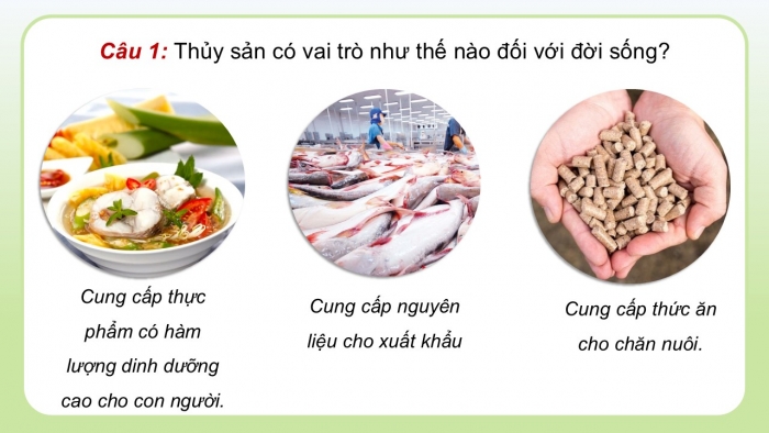 Giáo án điện tử Công nghệ 12 Lâm nghiệp - Thủy sản Kết nối Bài 26: Bảo vệ nguồn lợi thủy sản