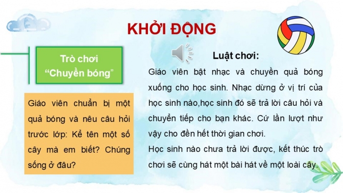 Giáo án PPT Tự nhiên và Xã hội 2 chân trời Bài 14: Thực vật sống ở đâu?