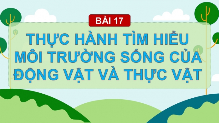 Giáo án PPT Tự nhiên và Xã hội 2 chân trời Bài 17: Thực hành tìm hiểu môi trường sống của thực vật và động vật