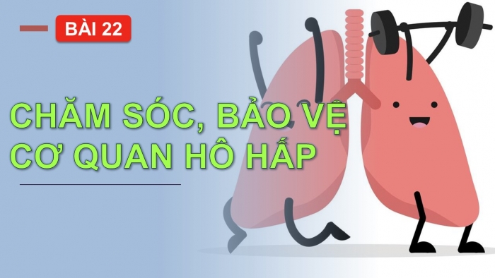 Giáo án PPT Tự nhiên và Xã hội 2 chân trời Bài 22: Chăm sóc, bảo vệ cơ quan hô hấp