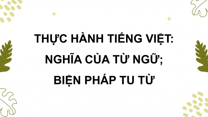 Giáo án điện tử Ngữ văn 9 kết nối Bài 7: Thực hành tiếng Việt (1)