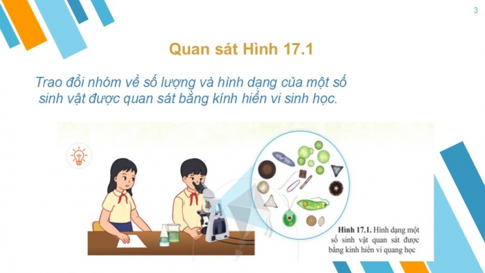 Giáo án PPT KHTN 6 cánh diều Bài 17: Đa dạng nguyên sinh vật