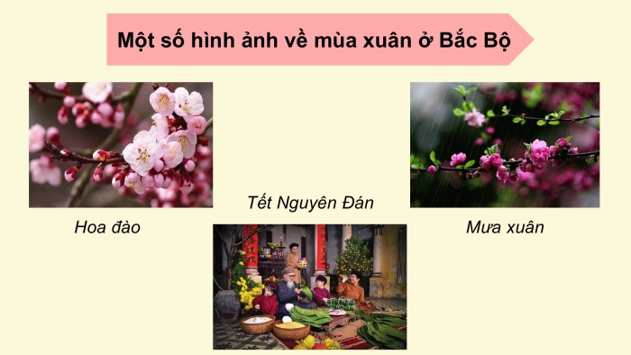 Giáo án điện tử Ngữ văn 9 kết nối Bài 7: Mưa xuân (Nguyễn Bính)