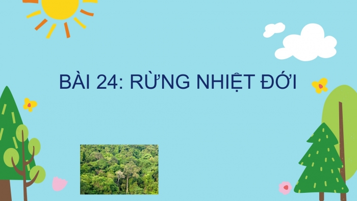 Giáo án PPT Địa lí 6 kết nối Bài 24: Rừng nhiệt đới