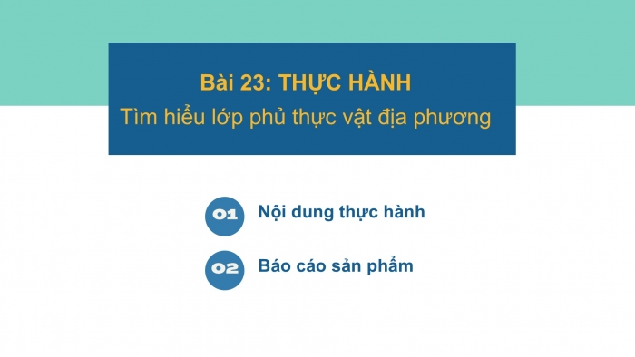 Giáo án PPT Địa lí 6 cánh diều Bài 23 Thực hành: Tìm hiểu lớp phủ thực vật ở địa phương