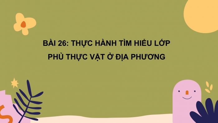 Giáo án PPT Địa lí 6 cánh diều Bài 26 Thực hành: Tìm hiểu tác động của con người lên môi trường tự nhiên trong sản xuất