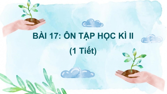 Giáo án PPT Mĩ thuật 6 cánh diều Bài 17: Ôn tập học kì II