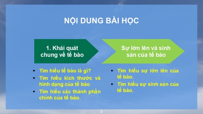 Giáo án PPT KHTN 6 chân trời Bài 17: Tế bào