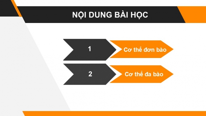 Giáo án PPT KHTN 6 chân trời Bài 19: Cơ thể đơn bào và cơ thể đa bào