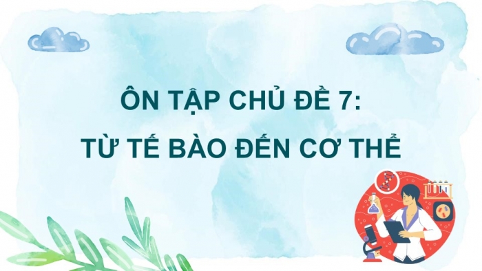 Giáo án PPT KHTN 6 chân trời Ôn tập Chủ đề 7