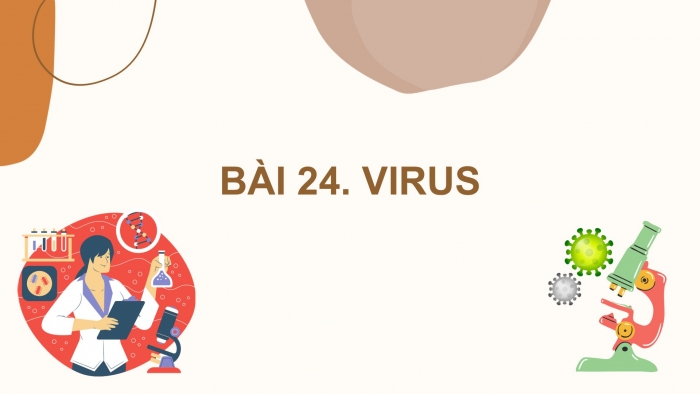 Giáo án PPT KHTN 6 chân trời Bài 24: Virus