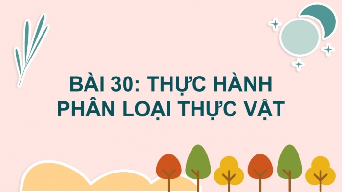 Giáo án PPT KHTN 6 chân trời Bài 30: Thực hành phân loại thực vật