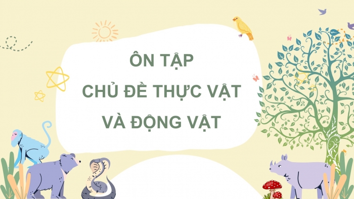 Giáo án điện tử Khoa học 5 cánh diều Bài Ôn tập chủ đề Thực vật và động vật