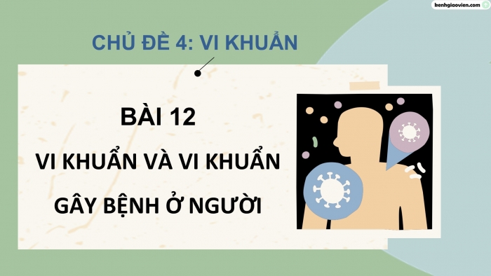 Giáo án điện tử Khoa học 5 cánh diều Bài 12: Vi khuẩn và vi khuẩn gây bệnh ở người