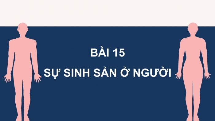 Giáo án điện tử Khoa học 5 cánh diều Bài 15: Sự sinh sản ở người