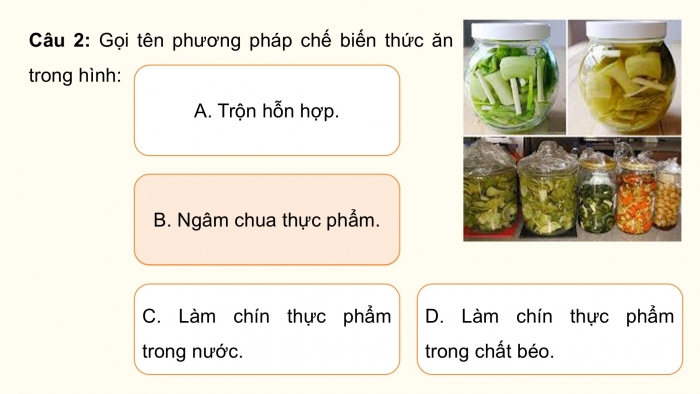 Giáo án điện tử Công nghệ 9 Chế biến thực phẩm Cánh diều Bài Ôn tập