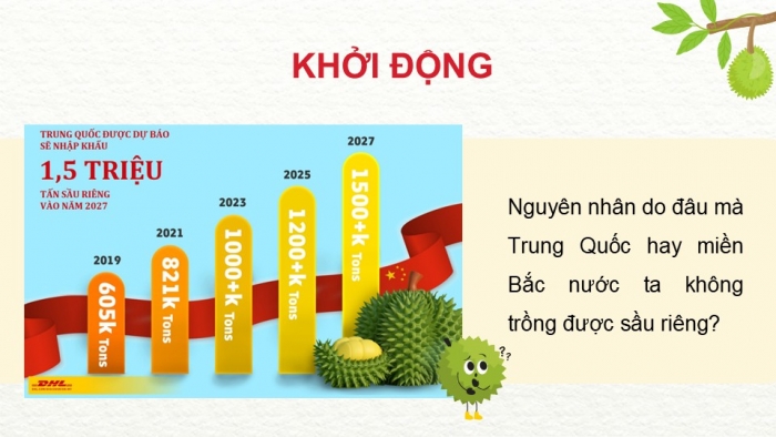 Giáo án điện tử Công nghệ 9 Trồng cây ăn quả Kết nối Bài 6: Kĩ thuật trồng và chăm sóc cây sầu riêng