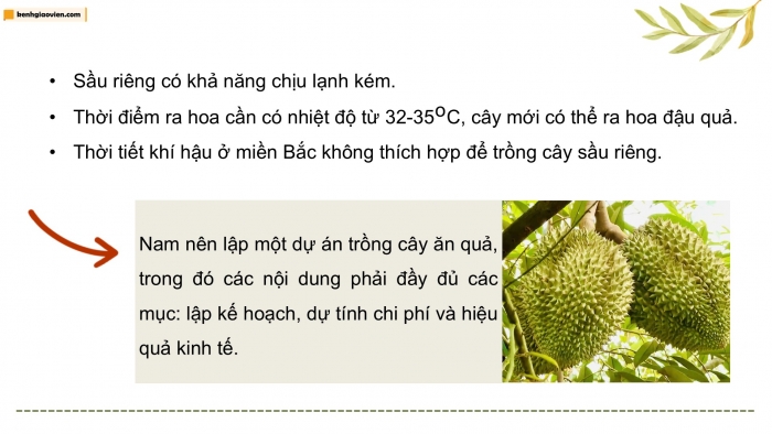 Giáo án điện tử Công nghệ 9 Trồng cây ăn quả Kết nối Bài 8: Dự án Trồng cây ăn quả