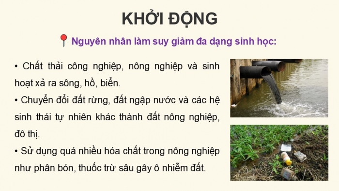 Giáo án điện tử Hoạt động trải nghiệm 12 chân trời bản 2 Chủ đề 6: Bảo tồn động vật, thực vật và cảnh quan thiên nhiên (P1)