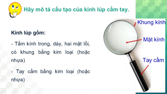 Giáo án PPT KHTN 6 kết nối Bài 3: Sử dụng kính lúp